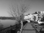 A orillas del Duero. Zamora, Castilla y León